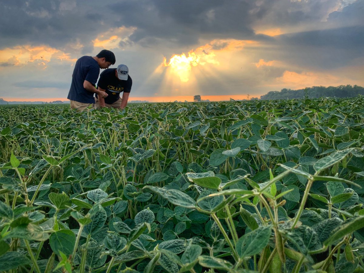 Clinton Griffiths, AgDay Anchor 📺 🎙 🖊 tweet media