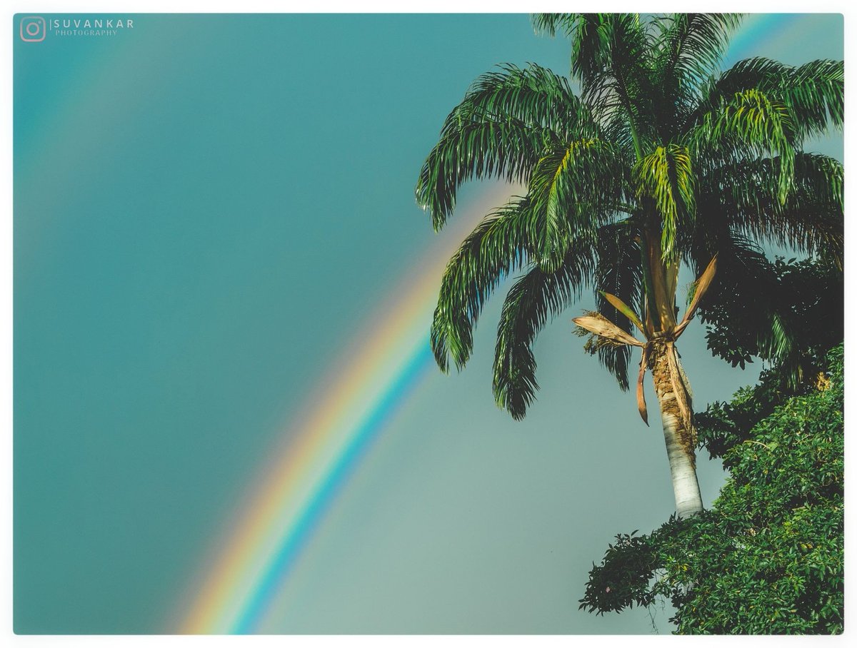 knightwing008's tweet photo. Life is like a rainbow. You need both rain and sun to make its colors appear.🌈
#ShotonRedmik20
@XiaomiIndia
#still_life_gallery #life_is_street #street_photography #photooftheday
#summervibes #incredibleindia #snapwithpankaj  #shutterbugIndia #everydayeverywhere #mypixeldairy https://t.co/Q9ovH0SFxe
