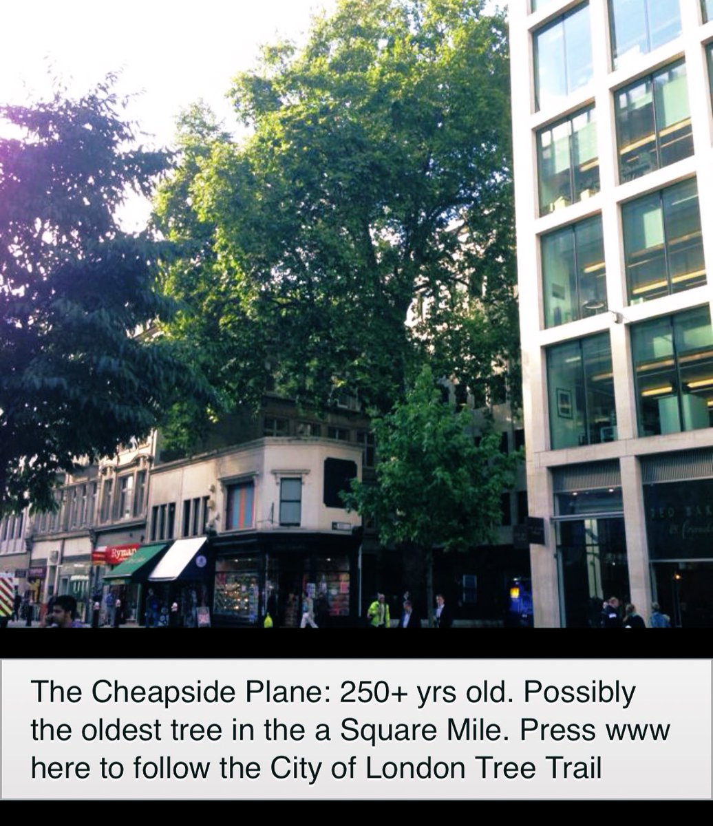 TiCLme's tweet photo. I’ve come to London to see the trees.
Well why not ...?
No really! .... Why not?
The Great Trees of London #GTOL @visitlondon @Londonist
https://t.co/OogTtML6eh
@LDN_environment @LondonNPC @TreesforCities @LTOA33
#TreeTourism 📲➡️🌳 https://t.co/YxKiHdsLkd