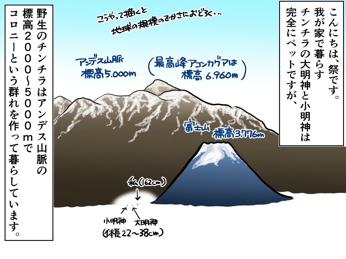 チンチライフ！最新回が更新されてます?✨
今回はチンチラの社会性に迫る…！

続きは下から?


#チンチラ
#chinchilla
#ペット
#ビーグル
#エッセイ漫画 