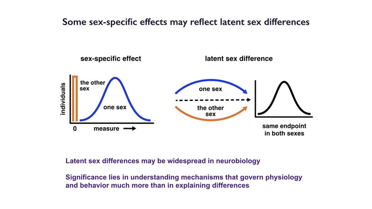 “If researchers do not pay attention to possible sex differences, they risk missing underlying mechanisms of #brain function.”

Access a summary of, "Sex-Dependent Mechanisms of Synaptic Modulation," by <a href="/NUneurobio/">Neurobiology</a>’s Catherine Woolley, now on Neuronline: bit.ly/31uqaPM