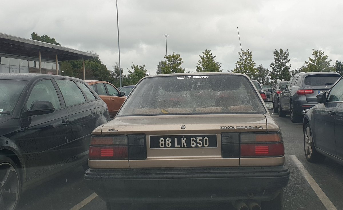 LifeOnWheelsCo's tweet image. And it will outlive us all