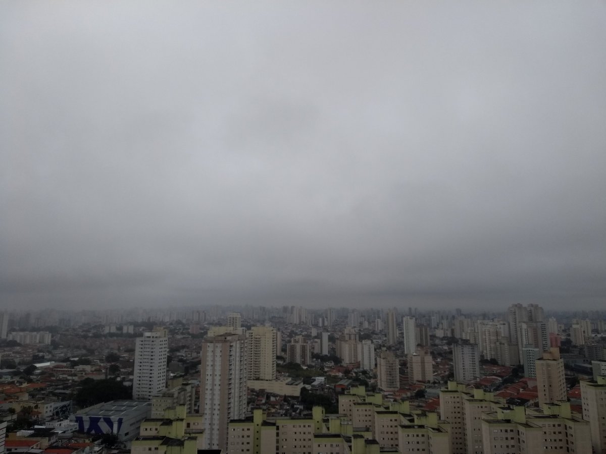 Soraya S. Hossain (SSH) tweet media