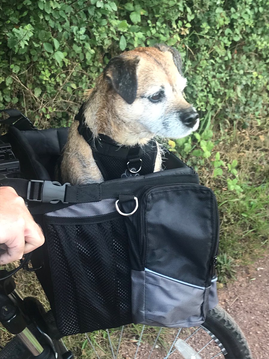 ⁦<a href="/_julietelliott/">Juliet Elliott</a>⁩ just riding along the Somerset canal with my mutt.... bit heavy on the front..!