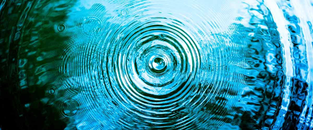 Sia Partners Transformation tweet media