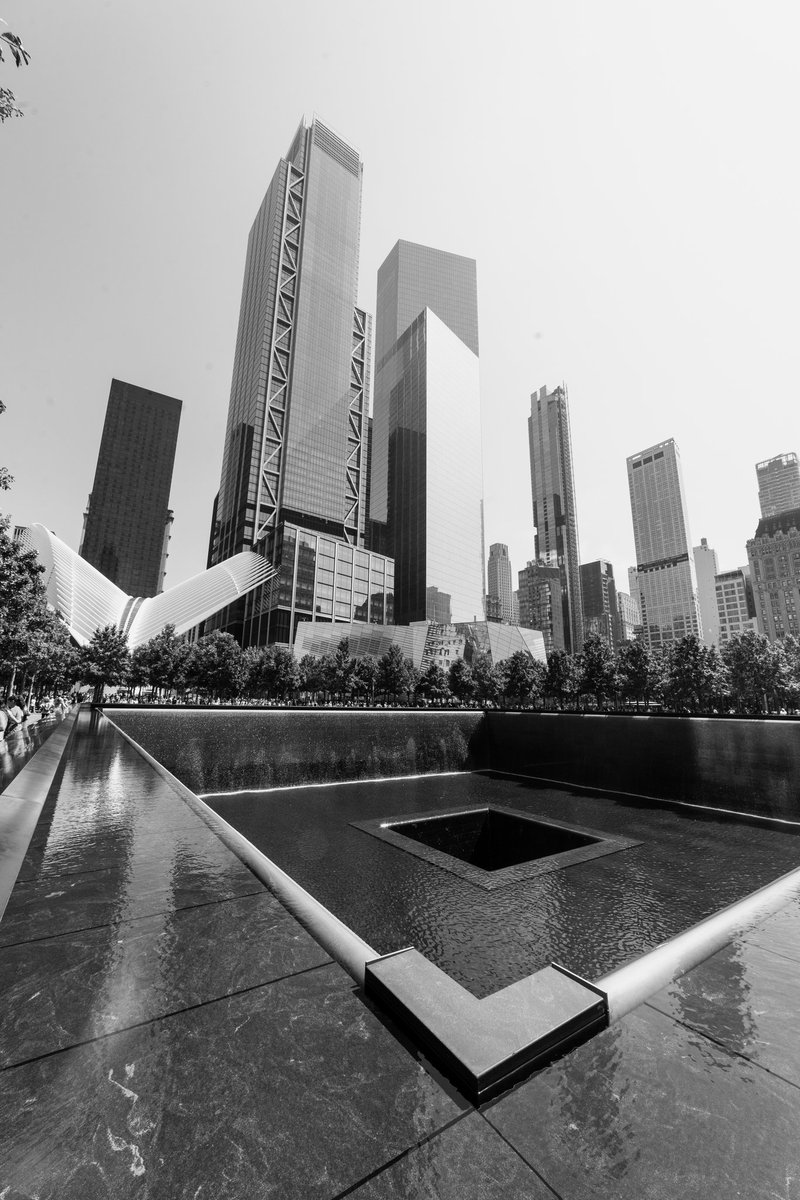 jorge_sva's tweet photo. NY
Day seven https://t.co/q6tnGbZlIL