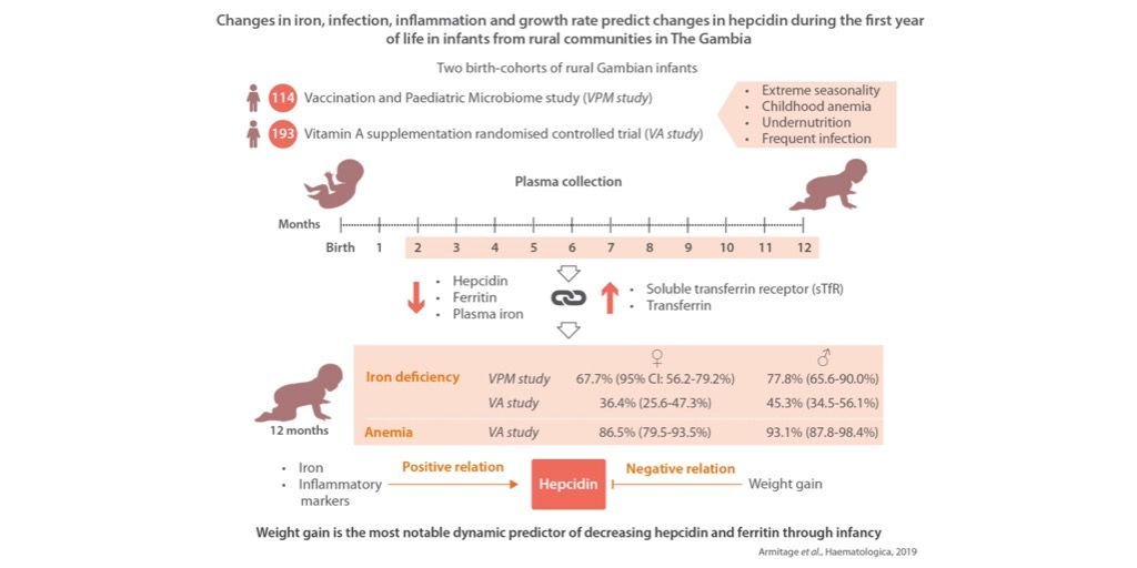 Haematologica's tweet photo. How relative changes in iron, infection and inflammation, erythropoietic drive, seasonality, and growth rate predict changes in hepcidin and ferritin during the first year of life?
https://t.co/awPQqY7mSd
#iron #FirstYearOfLife #Gambia https://t.co/D7V1Yt0K9H