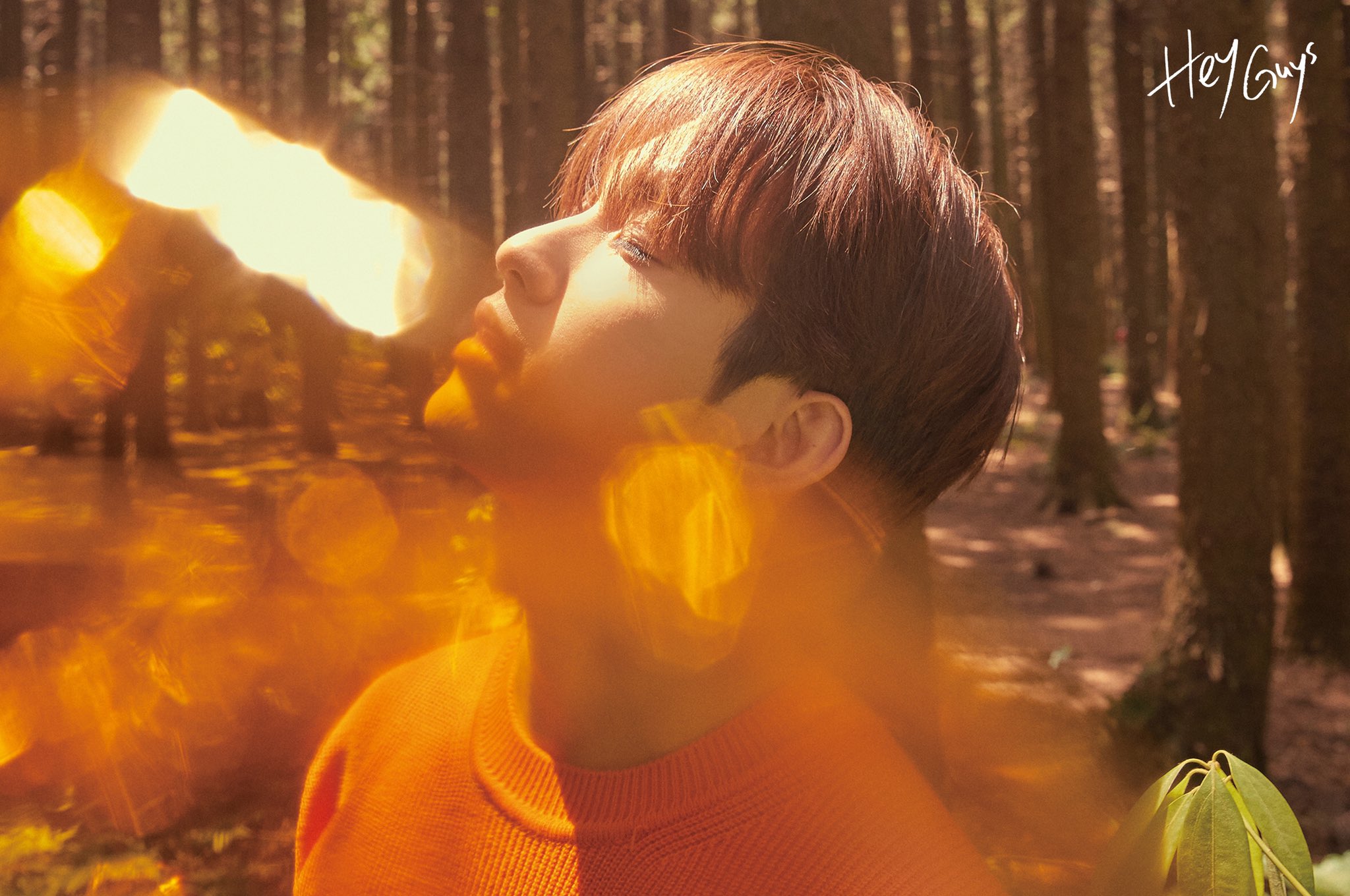 Jinyoung 写真集 DVD Hey Guys ktown4u.com : [PHOTOBOOK] JINYOUNG - Hey Guys PHOTOBOOK in JEJU