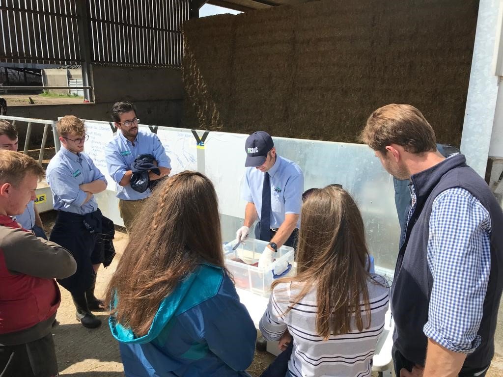 CargillAnimalUK's tweet photo. Great day in the sunshine supporting @CreditonMilling's farm workshop talking all things transition #teamdairy #transitioncow #nutrition @CargillAnimal https://t.co/3xE7h8lqYh