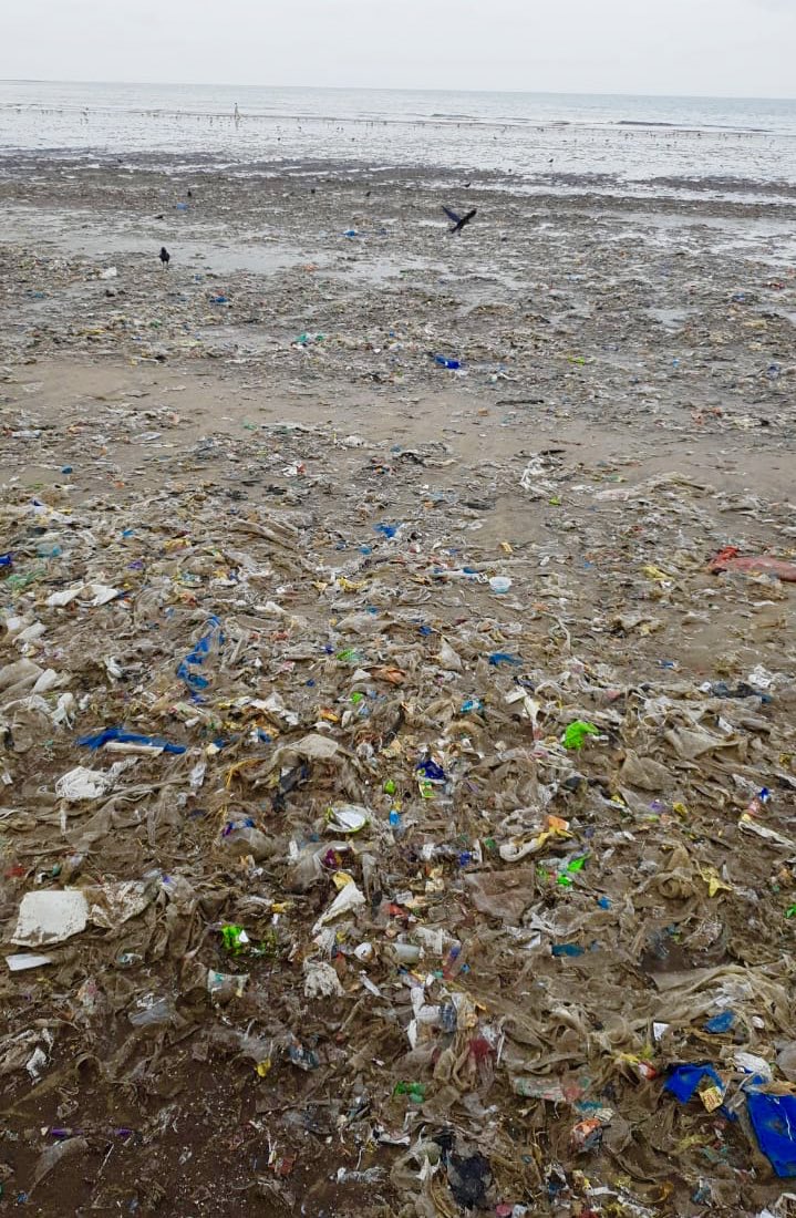 We citizens thank u <a href="/narendramodi/">Narendra Modi</a> for addressing the problem of #singleuseplastic and suggesting a #nationwideban in ur #independencedayspeech. <a href="/PMOIndia/">PMO India</a> <a href="/SuPriyoBabul/">Babul Supriyo</a> <a href="/moefcc/">MoEF&CC</a> <a href="/SrBachchan/">Amitabh Bachchan</a> #TuesdayMorning #JawabDo #PlasticFreeIndia #india4oceans #beachteach