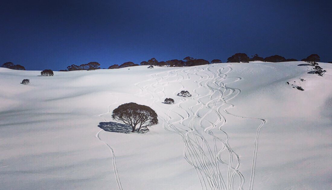 Nick_Wasiliev's tweet photo. Snow looks good on me. Been a productive few weeks on the writing front too. Sometimes you have to have time away from things to appreciate how far you’ve come 🖋 #snowthrowback #perisher #writing https://t.co/pqufaTEr0M