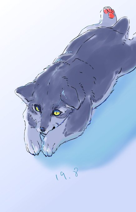 久しぶりだから描き方忘れた 