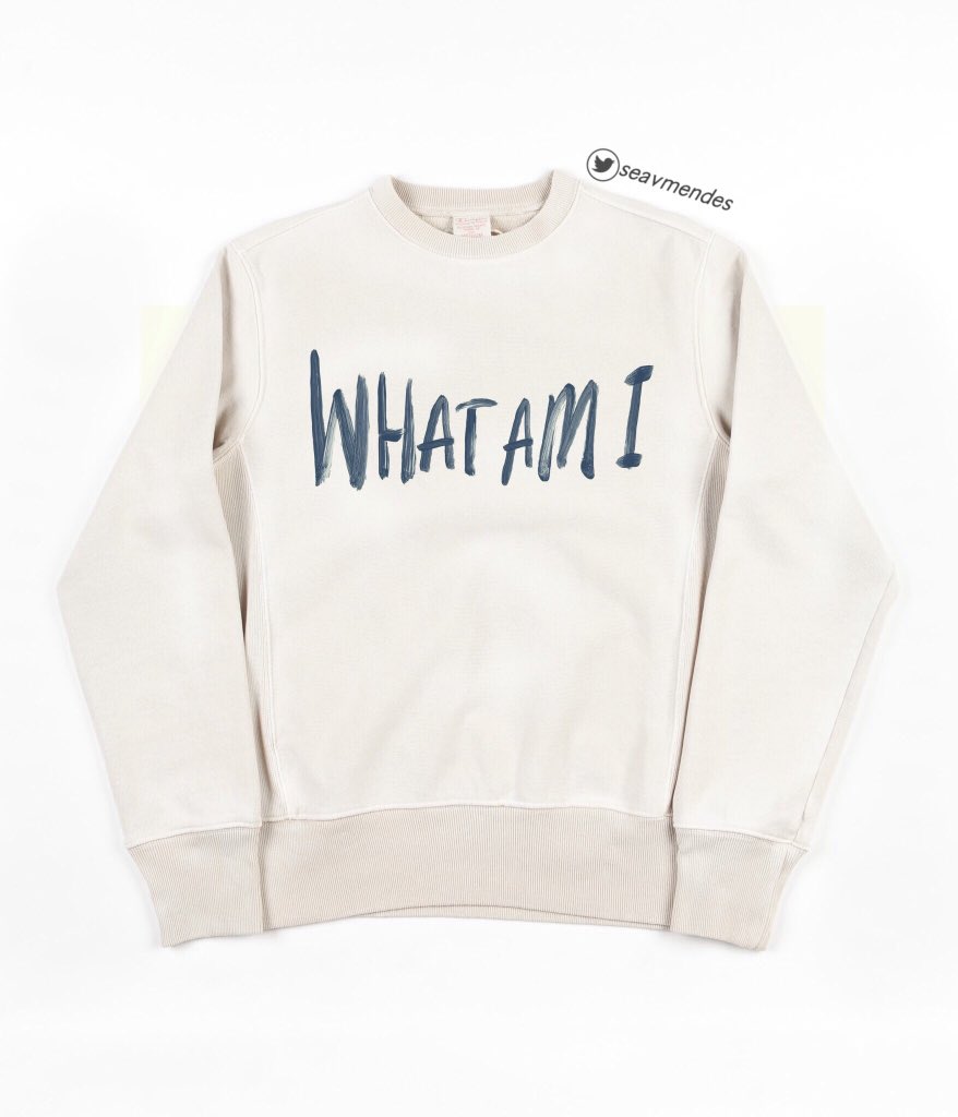‘what am i’ ; hoodie and crew neck  #WhatAmI  @whydontwemusic