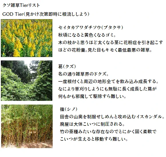根絶したい？田舎に生えているクソ雑草リストがこれwww