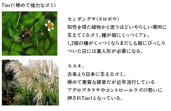 根絶したい？田舎に生えているクソ雑草リストがこれwww