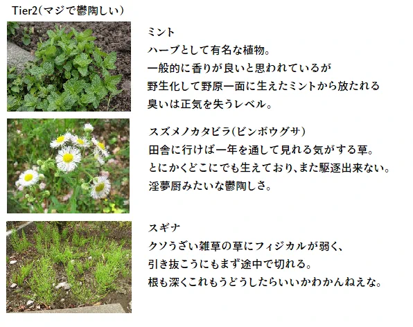 根絶したい？田舎に生えているクソ雑草リストがこれwww