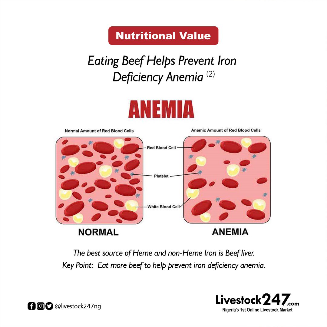 livestock247ng's tweet photo. NUTRITIONAL VALUE:
Eating Beef Helps Prevent Iron Deficiency Anemia (2)
The best source of Heme and non-Heme Iron is Beef liver.
Key Point: Eat more beef to help prevent iron deficiency anemia.
#LiveStock247 #livestock #nutritionalvalue #eatingbeef #foodnutrition #agritech https://t.co/Wlqa2VQcQ4