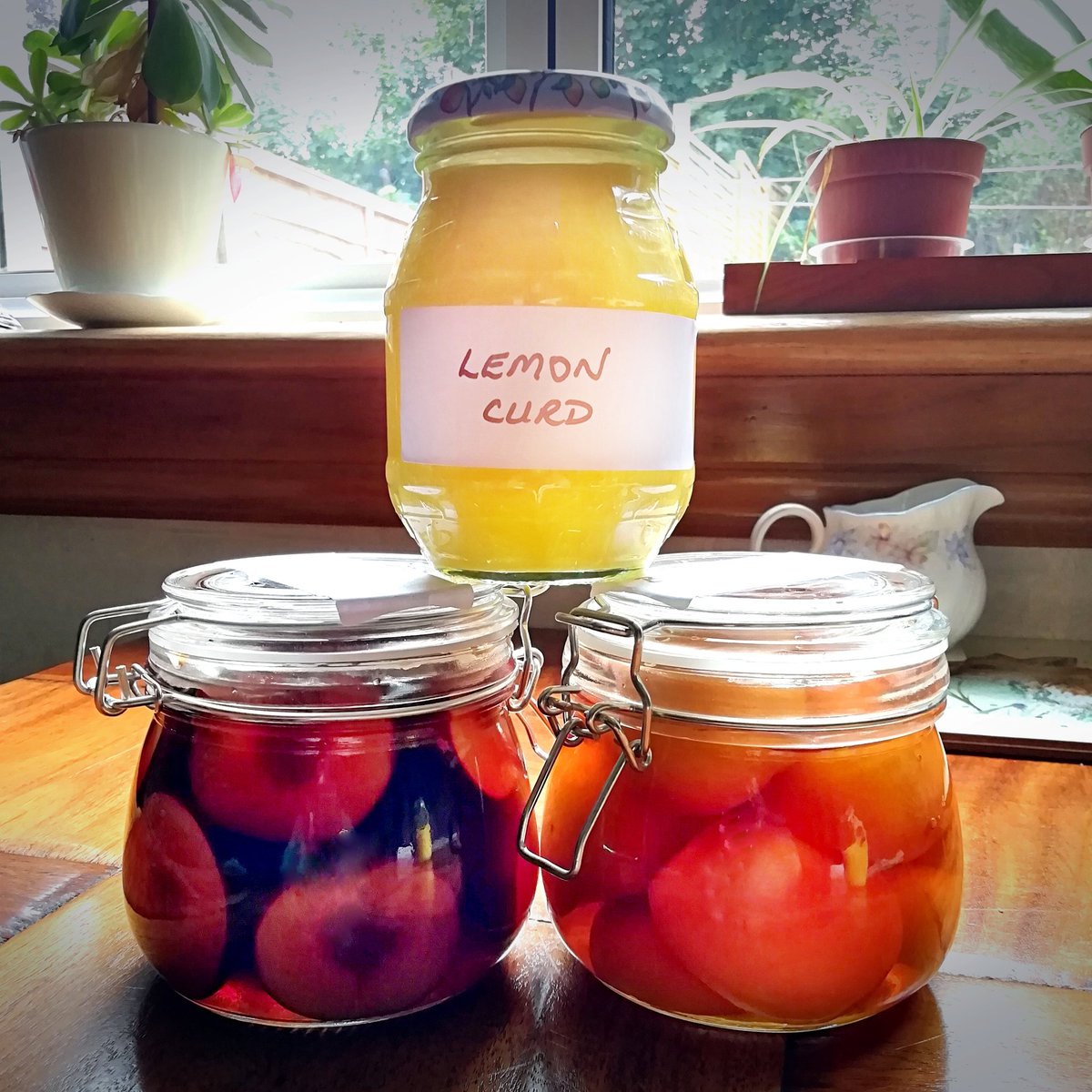 SuzJamieson's tweet photo. Also raided the reduced section last time I was in the supermarket. Made brandied apricots and sherried plums. #preppingforbrexit
#functioningalkie ๐ https://t.co/mLSGlwm7RT