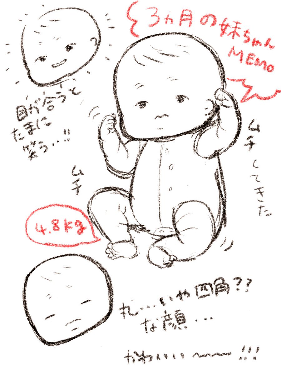 #ぽねこ家絵日記 