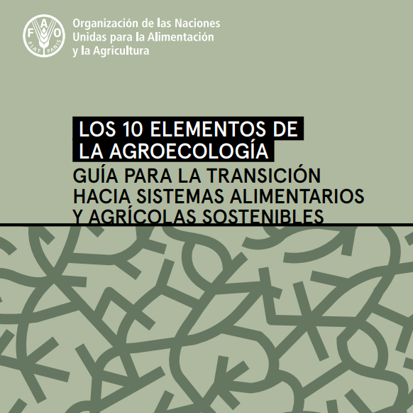 FAOMexico's tweet photo. La #agroecología se basa en aplicar conceptos y principios ecológicos con el fin de optimizar las interacciones entre plantas, animales, seres humanos y medio ambiente

🌱🐿👩🏻🌾🏞🔄 https://t.co/feK8ff9lDX https://t.co/OKlVeWxLMC