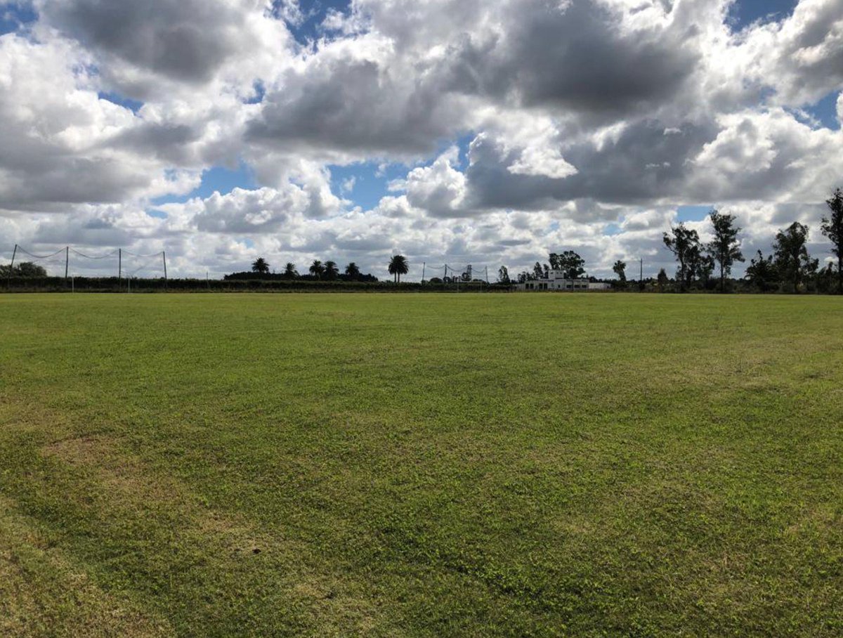 WeekendDepUy's tweet photo. RT y participas por una cancha para jugar un partido en el Complejo Deportivo Los Robles. Cuentan con tres canchas de Fútbol 11, vestuarios, baños y estacionamiento exclusivo.
📍 Labrador y José Belloni. 
📱 099294208 o 098780174.
FB: https://t.co/A4VqLam7aA
Sorteo el 1/9 https://t.co/y9KDWlWS7n