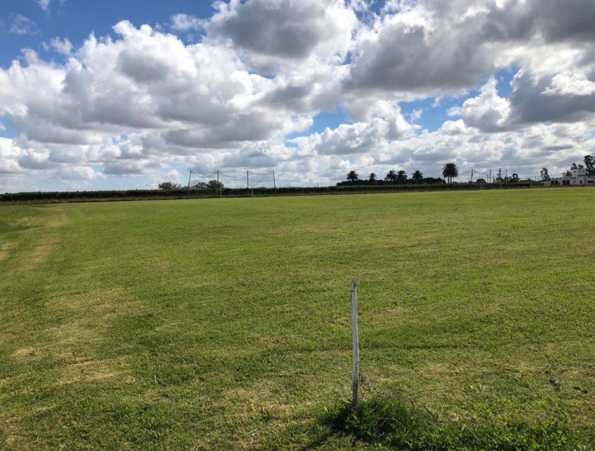 WeekendDepUy's tweet photo. RT y participas por una cancha para jugar un partido en el Complejo Deportivo Los Robles. Cuentan con tres canchas de Fútbol 11, vestuarios, baños y estacionamiento exclusivo.
📍 Labrador y José Belloni. 
📱 099294208 o 098780174.
FB: https://t.co/A4VqLam7aA
Sorteo el 1/9 https://t.co/y9KDWlWS7n