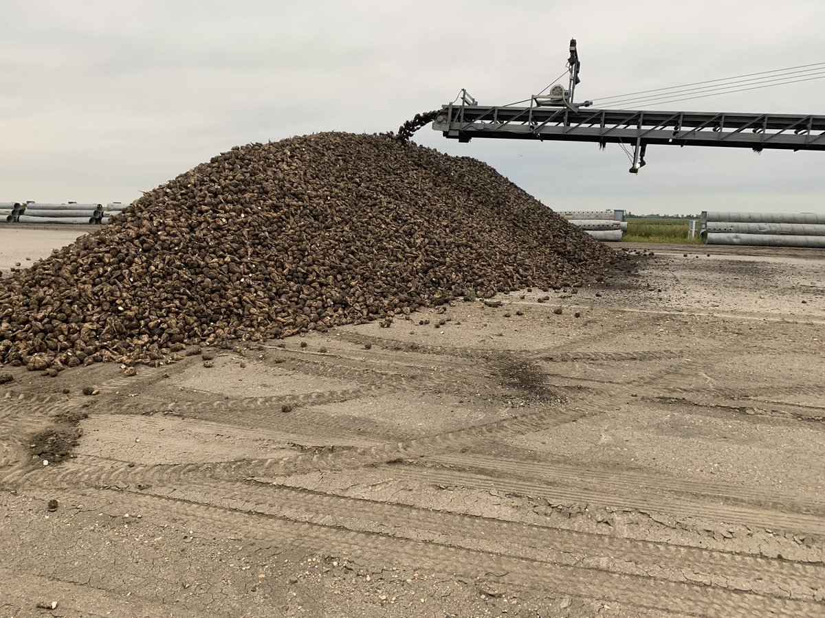BeetWeedControl's tweet photo. First day of prep Ike at the Lehman piker, near Norcross, MN https://t.co/Ybib4MYeey