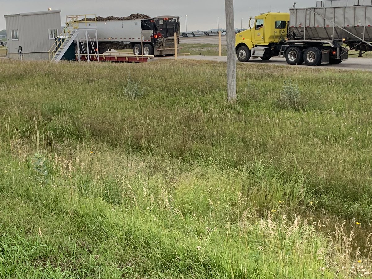 BeetWeedControl's tweet photo. First day of prep Ike at the Lehman piker, near Norcross, MN https://t.co/Ybib4MYeey