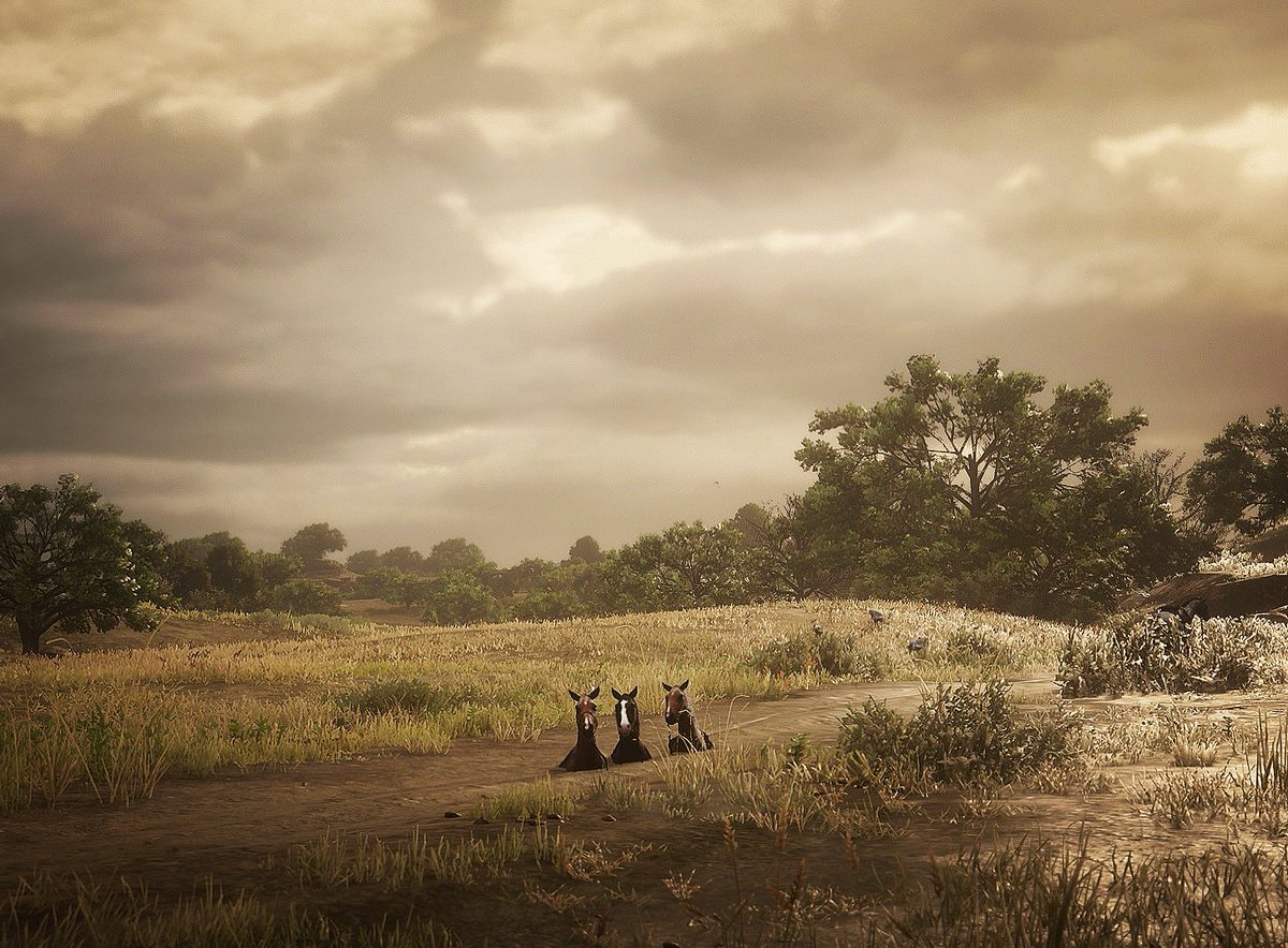 TacoKat_'s tweet photo. Waaaddduuuuppp 🐎🐎🐎

#RedDeadOnline #PS4 https://t.co/Fxaq03z51G