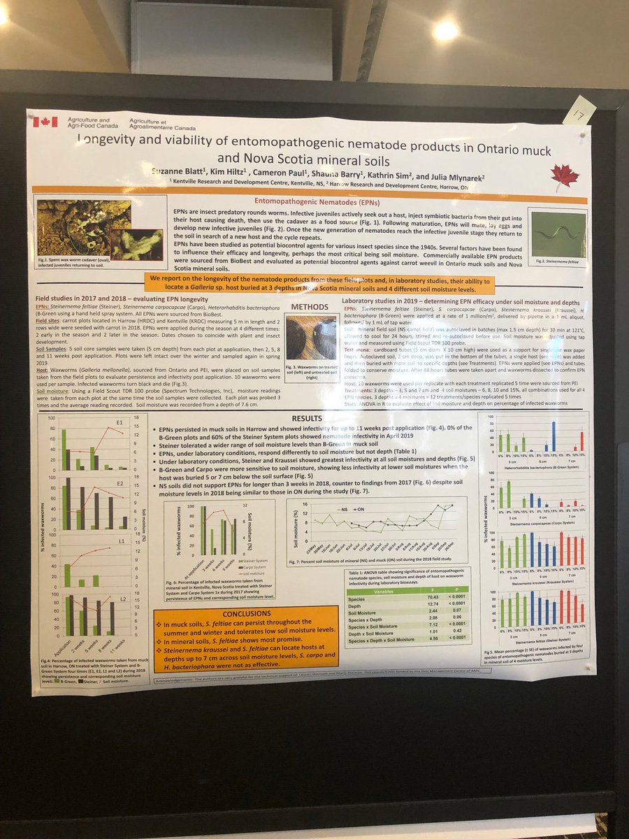 MayflyShauna's tweet photo. Featured on not one, but two posters today! Check them out 4:30-6:30! 

#EcoEvoEnto2019 @CSEE_SCEE https://t.co/XDErB0c1x4