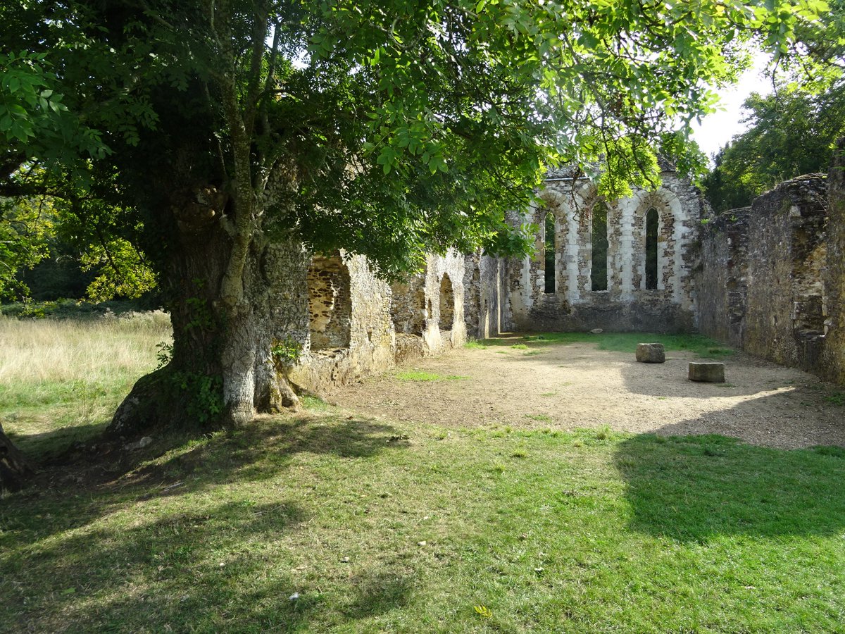 Eleanor Parker tweet media