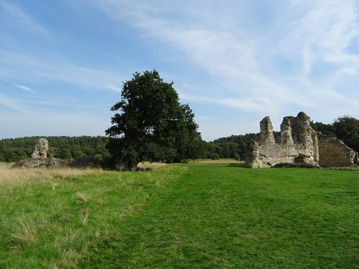 Eleanor Parker tweet media