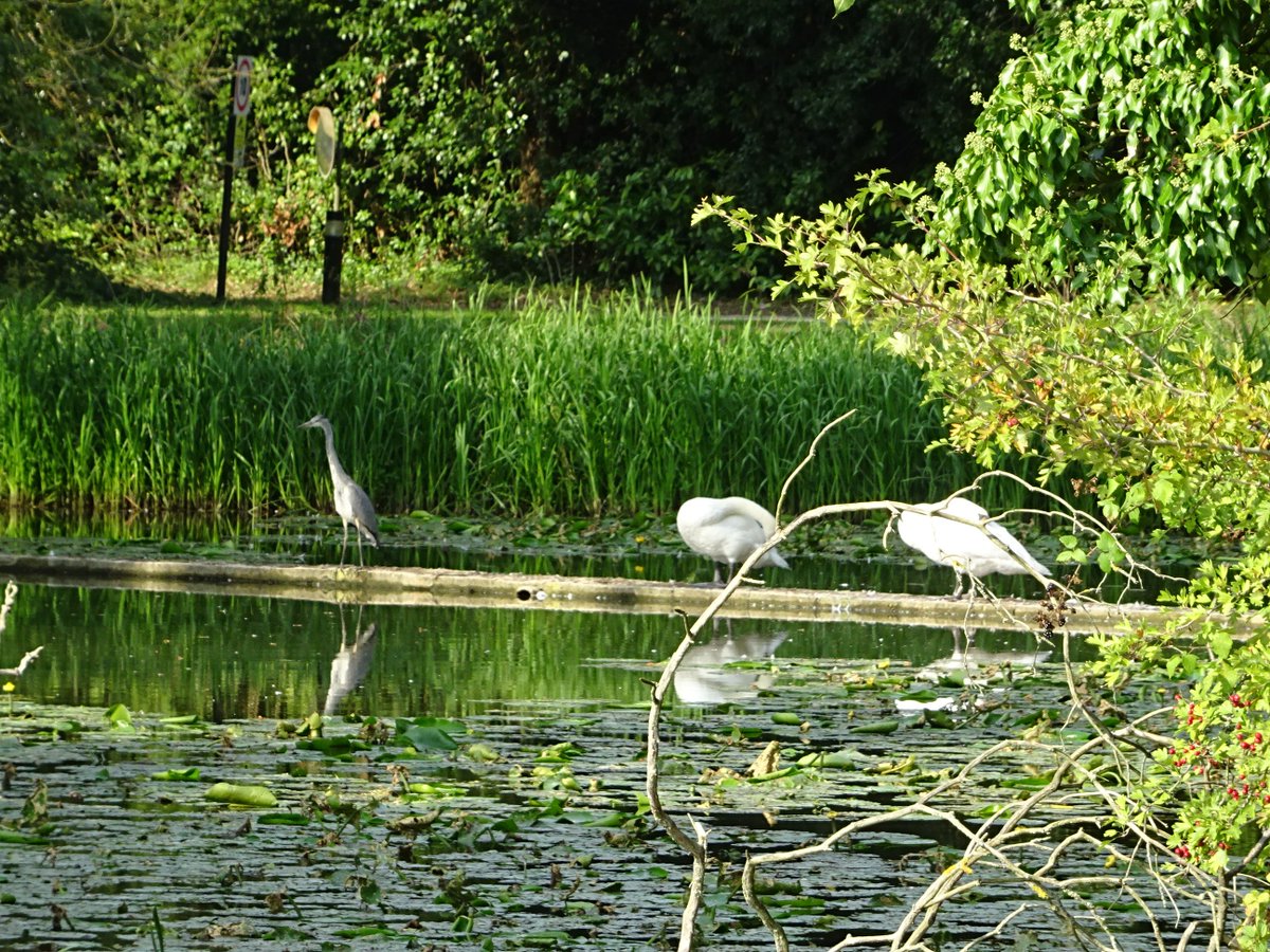 Eleanor Parker tweet media