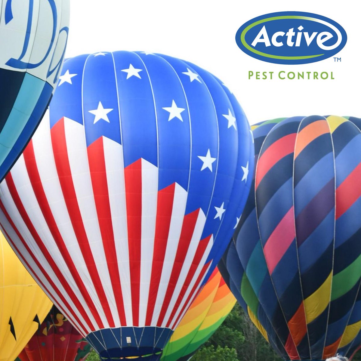 ActivePests's tweet photo. Join Active Pest Control at the 2019 Our World Balloon Festival on September 14, 2019 at Southern Belle Farm in McDonough, GA! There will be hot air balloons, music, food, and much more. Help us support our communities.
https://t.co/0wYNAUSLMl
#ActiveInYourCommunity
ππ½π§ποΈ https://t.co/n3m8yd12CO