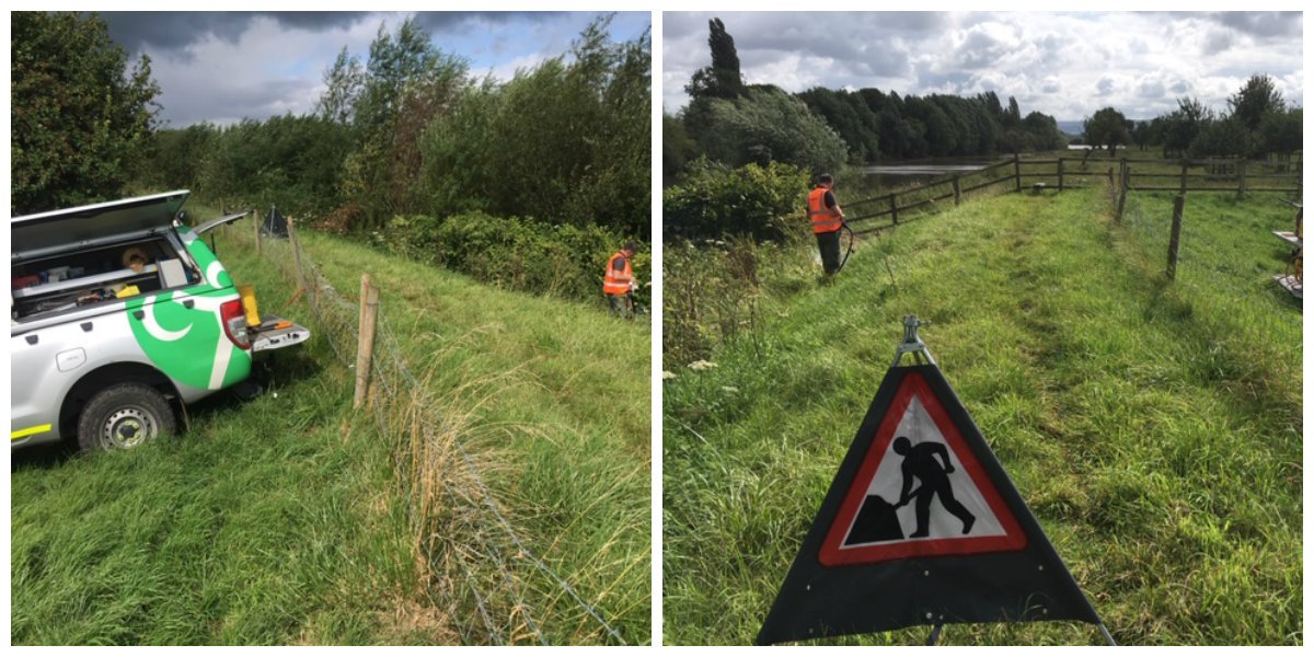 The #Gloucestershire field team have been out trialling the use of #electricides #electro to tackle #Japanese #Knotweed   with @Rootwave at #Elmore Back to help reduce exposure of the environment and operatives to #Glyphosate