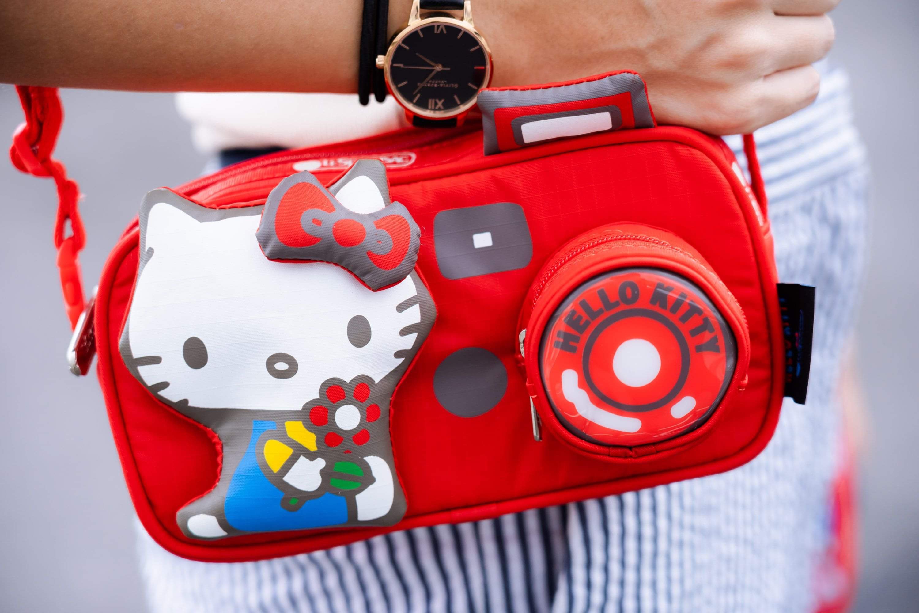 Lesportsac hello kitty camera bag sale