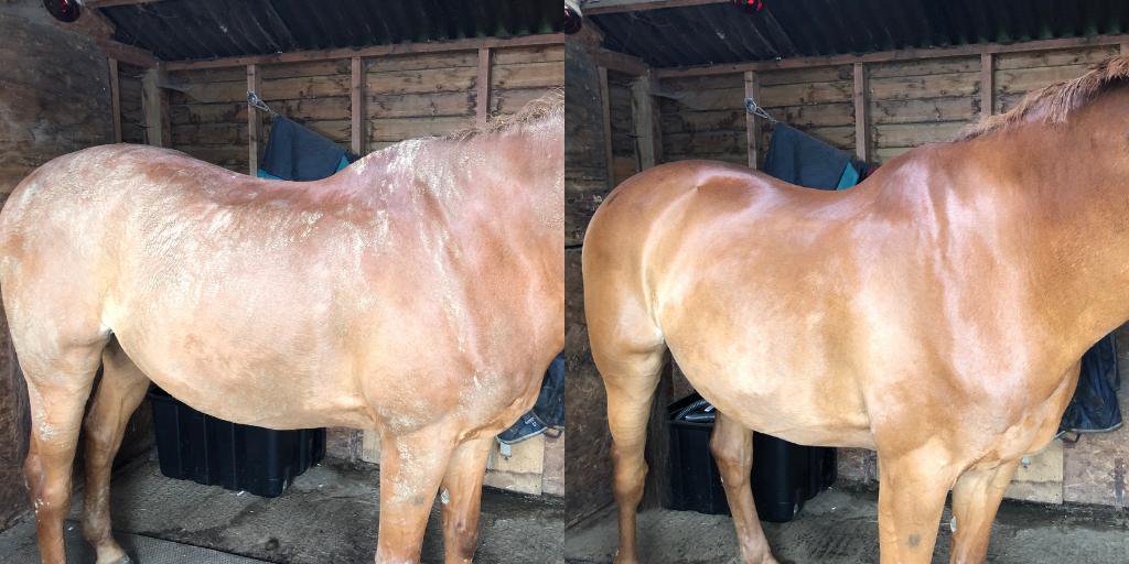 Renwick & Sons tweet media