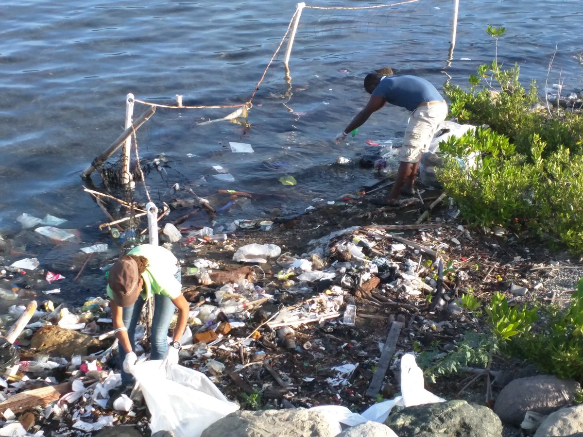 UNEP_CEP's tweet photo. #InternationalCoastalCleanup2019 is next month!

**Have you already joined a cleanup group? If not, you can consider creating your own!**

On September 21, let's join together for #CleanSeas.

#TrashFree #Caribbean #BeatPlasticPollution @UNJamaica  @jamentrust @nepajamaica https://t.co/DZRxad74N5