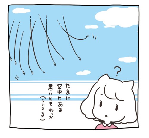 謎のヒモ 