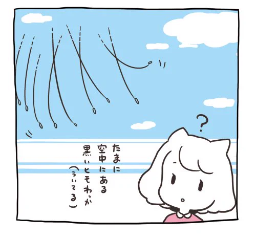 謎のヒモ 