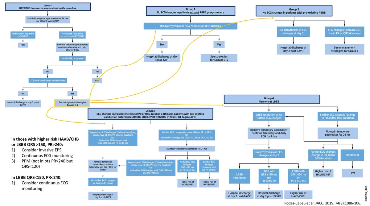 JK Han MD (@netta_doc) on Twitter photo Long awaited consensus document is out!
"Management of Conduction Disturbances Associated With #TAVR"
BIG document- sit & digest it for awhile. Made some quick-reference figures for all of us #EPeeps, #IC & #cardiotwitter
<a href="/JACCJournals/">JACC Journals</a> link here: onlinejacc.org/content/74/8/1… Long awaited consensus document is out!
"Management of Conduction Disturbances Associated With #TAVR"
BIG document- sit & digest it for awhile. Made some quick-reference figures for all of us #EPeeps, #IC & #cardiotwitter
<a href="/JACCJournals/">JACC Journals</a> link here: onlinejacc.org/content/74/8/1…