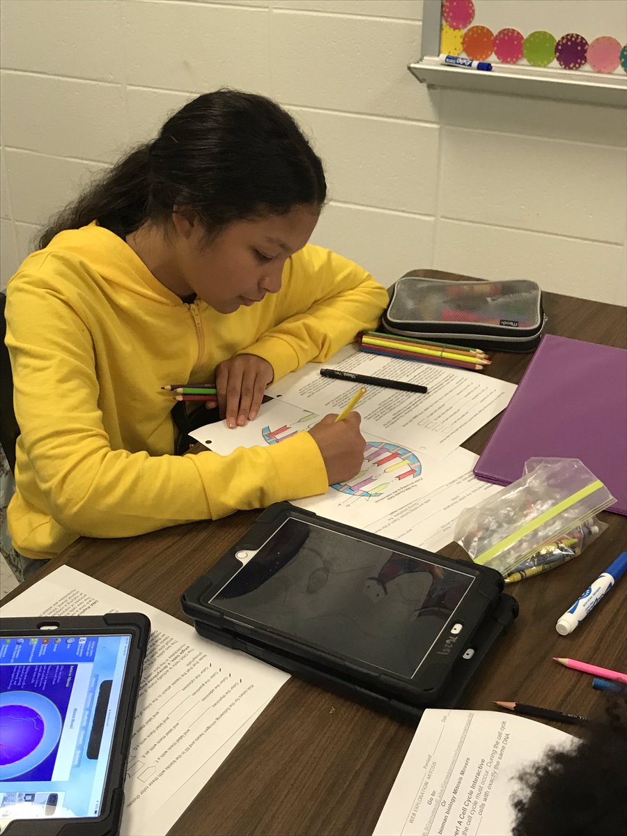 KatieCreson's tweet photo. We have 3 stations today in order to review DNA, chromosomes, and genes and introduce Mitosis! My favorite station is an article that is cut up and placed around the room and the students have to take their question sheet and find the answers! #placetobe https://t.co/q5MXNV74h4