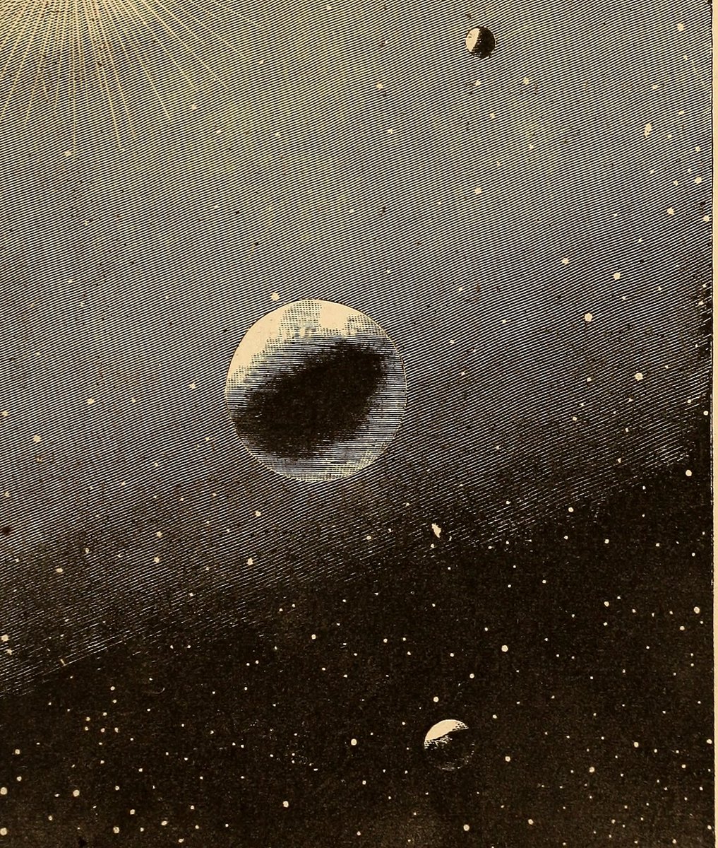 Trending on Nemfrog tweet media