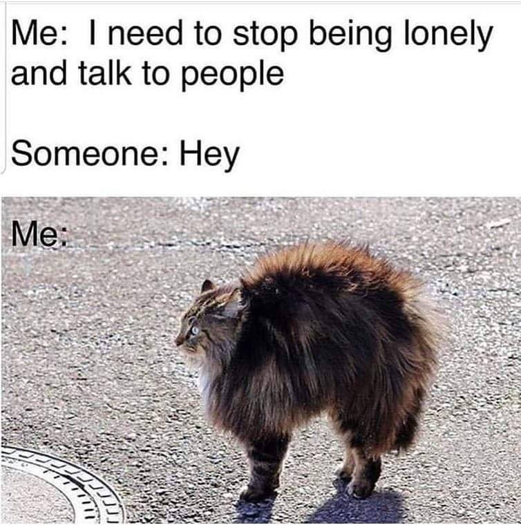 BipolarSANH's tweet photo. This is me!

#bipolardisorder #Bipolar #BipolarAwareness #ManicDepression #Bipolar1 #Bipolar2 #Cyclothymia #CyclothymicDisorder #BP1 #BP2 #BipolarType1 #BipolarType2 #BPNOS #mentalhealth #mentalillness #Mania #depression #anxiety #MixedEpisode 
@BipolarSANH https://t.co/18QVN3phf3