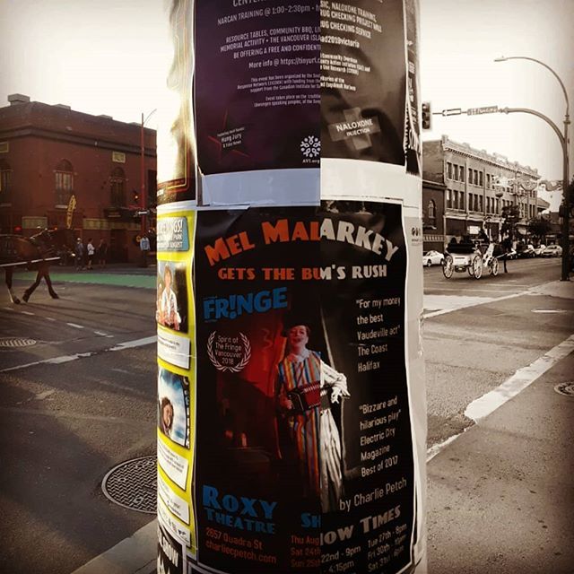 sawpoet's tweet photo. Really nothing says it more #yyjfringe get ready to be transported by #transtheatre #melmalarkey #queer #queertheatre #nonbinary #transmasculine #musicalsaw #accordion #ukulele https://t.co/SRrolZPWch https://t.co/jEyxBV8Tsm
