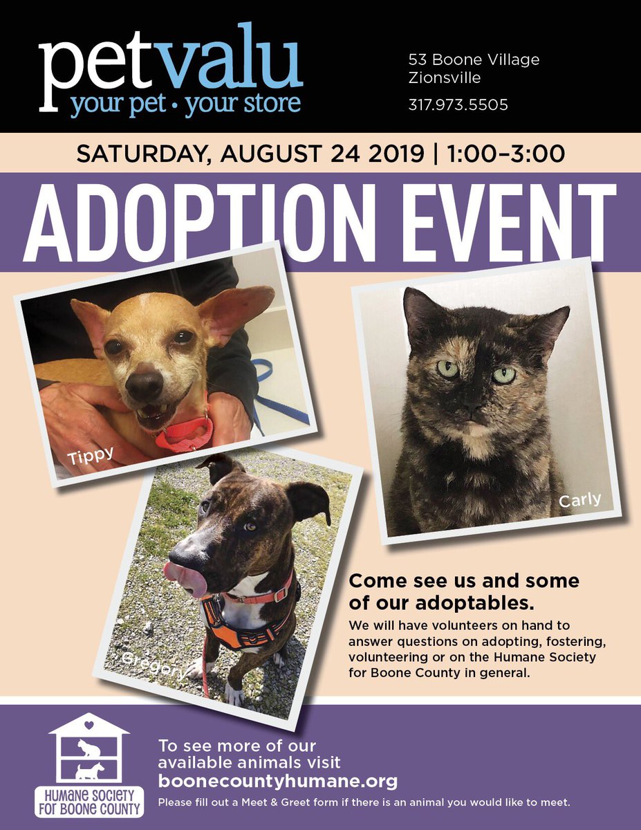 This Saturday you have two chances to come find your new furry family member!