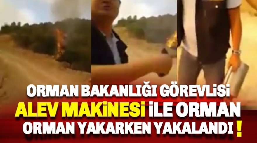 Karşı yangın yangına müdehale şeklidir.Orman ekiplerine müdehale yangının yayılmasına sebep olabilirdi. Burada art niyet aramamak gerekir.Art niyetli olan çakmakla da yangın çıkarır niye hürmüz ile dolaşsın. 
#izmiryakiliyor
