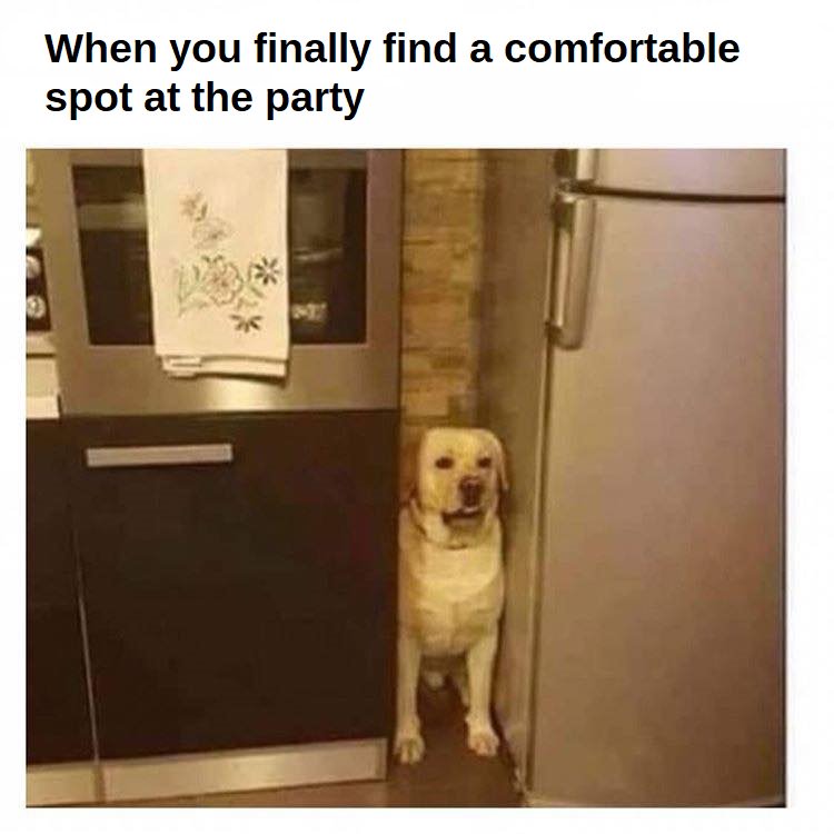 BipolarSANH's tweet photo. 😂😂😂

#bipolardisorder #Bipolar #BipolarAwareness #ManicDepression #Bipolar1 #Bipolar2 #Cyclothymia #CyclothymicDisorder #BP1 #BP2 #BipolarType1 #BipolarType2 #BPNOS #mentalhealth #mentalillness #Mania #depression #anxiety #MixedEpisode 
@BipolarSANH https://t.co/EDuiyZQBUM