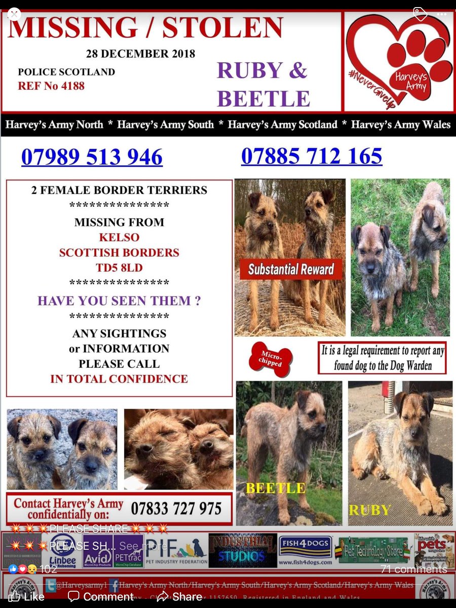 Sue Scott-collis tweet media