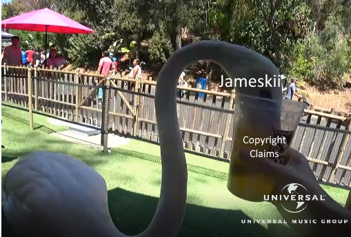 Jameskii Flamingo Gwa Gwa